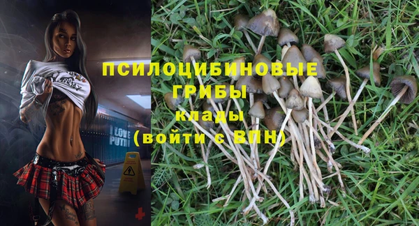 винт Баксан